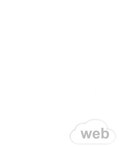 AudiReport Web