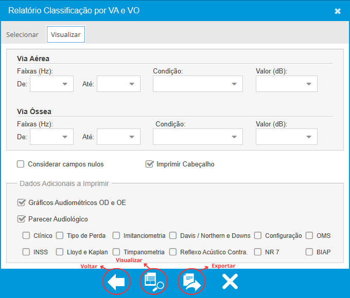 Aba Visualizar - Relatório Resumido
